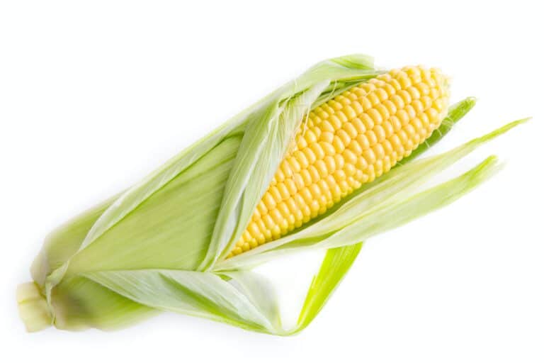 Eating Corn at night is good or bad?