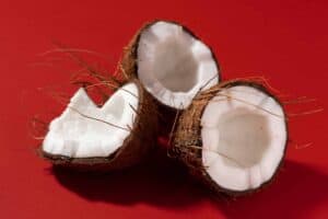 is coconut milk high in uric acid